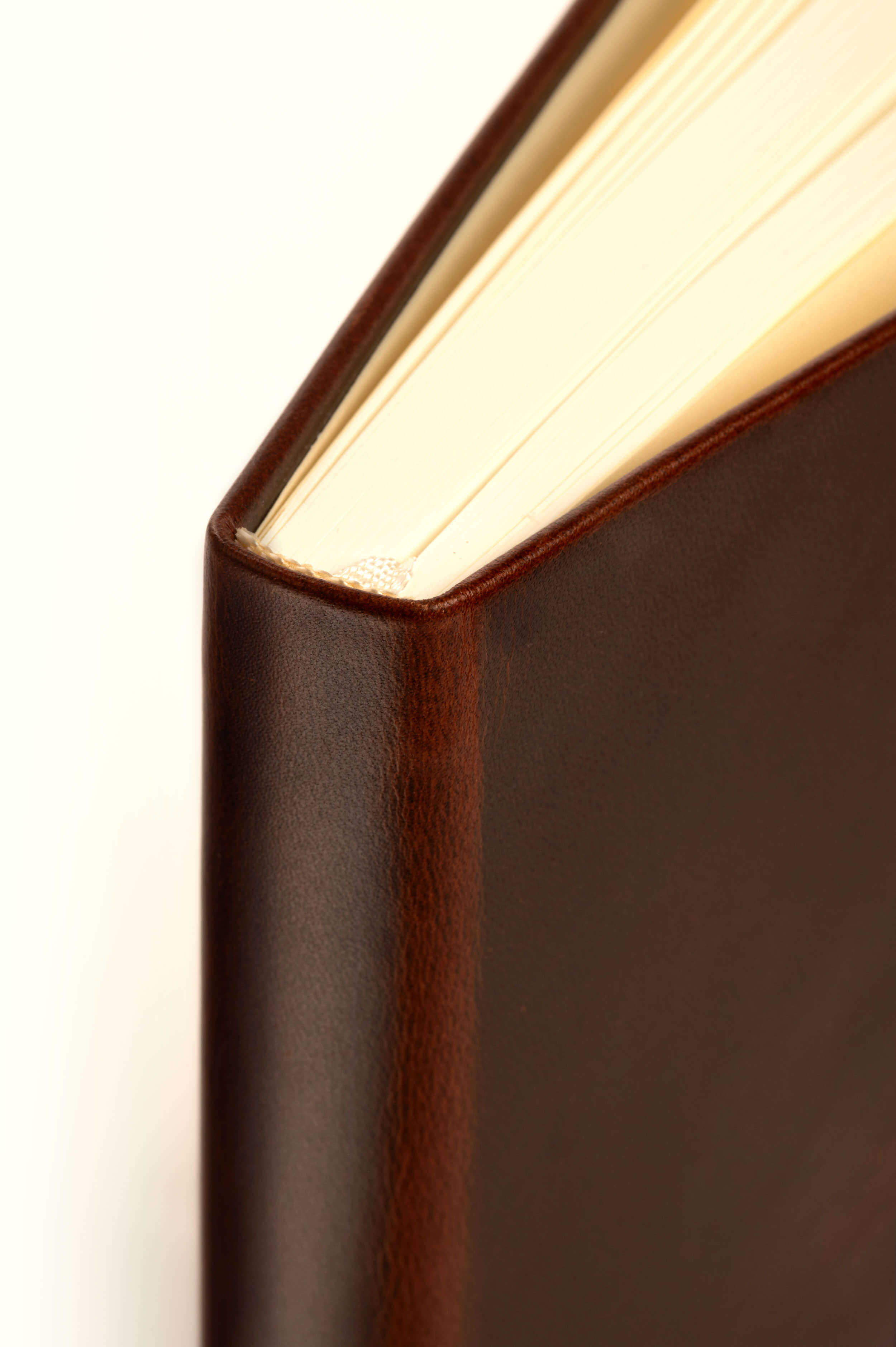 Cognac leather notebook binding close-up detail.